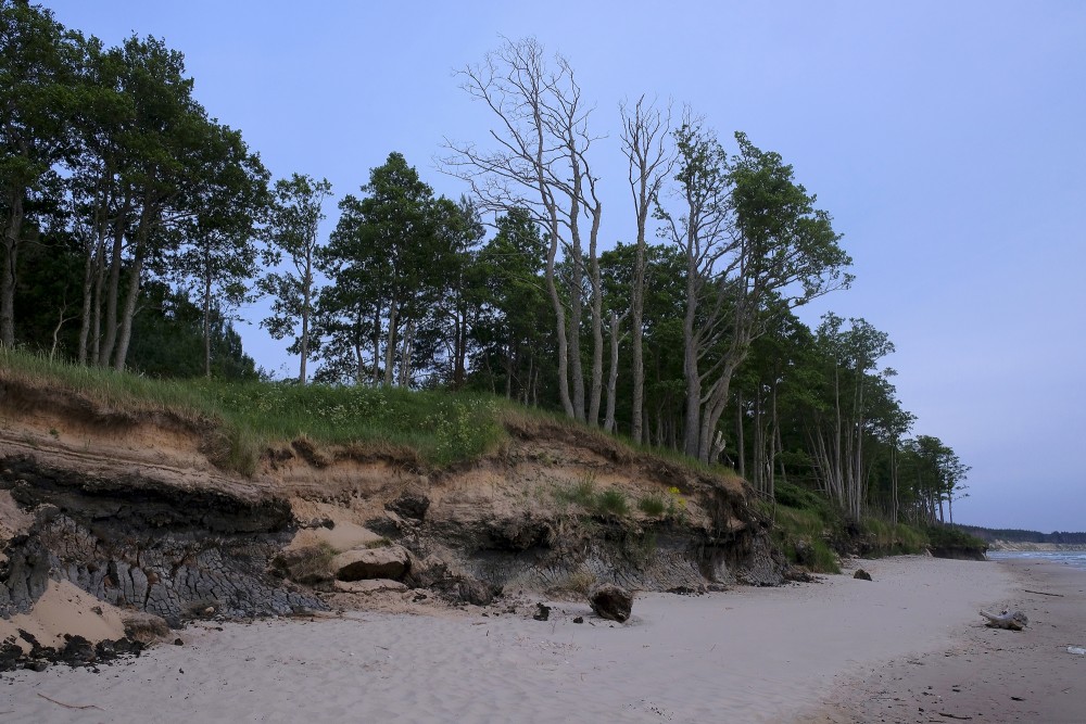 Outcrops of Steep coastline of Staldzene