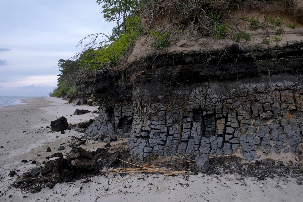 Outcrops of Steep coastline of Staldzene, Sapropel