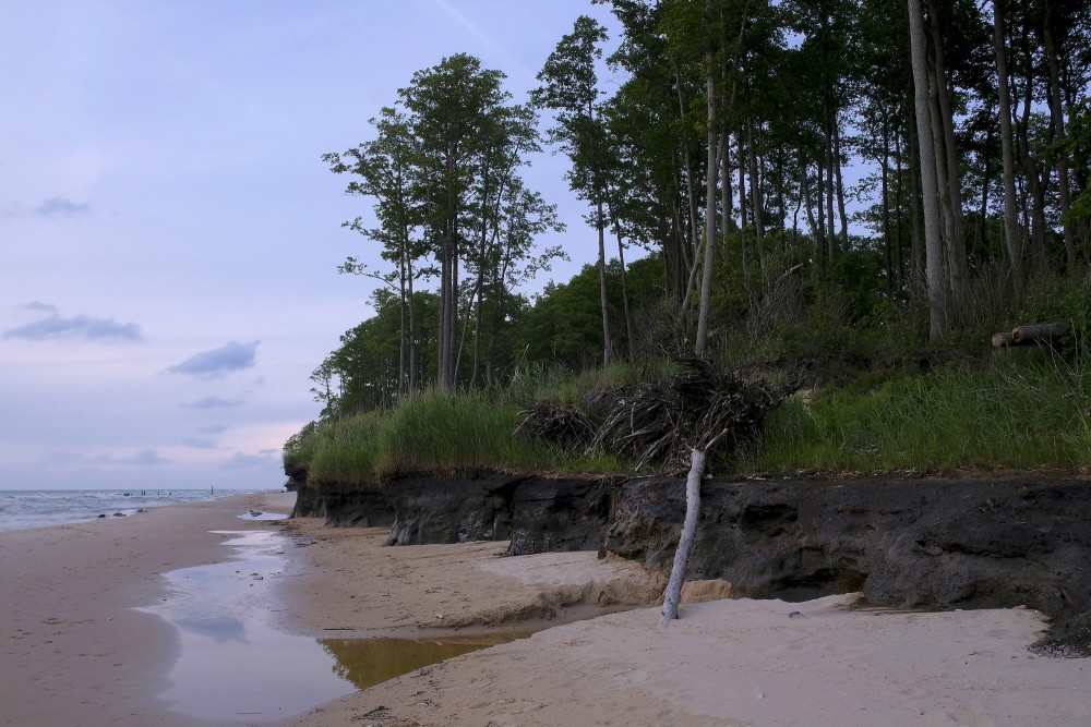 Staldzene Seaside Landscape