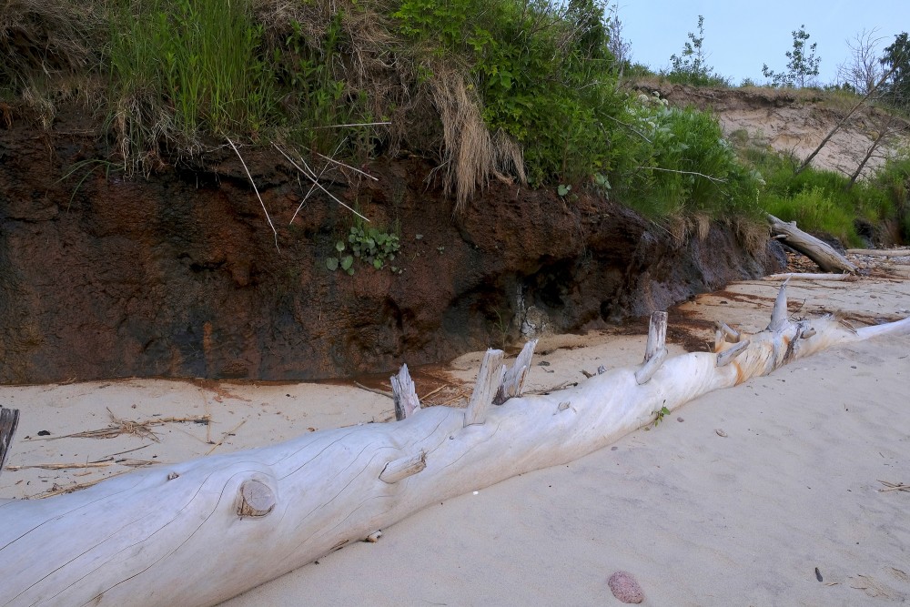 Outcrops of Steep coastline of Staldzene