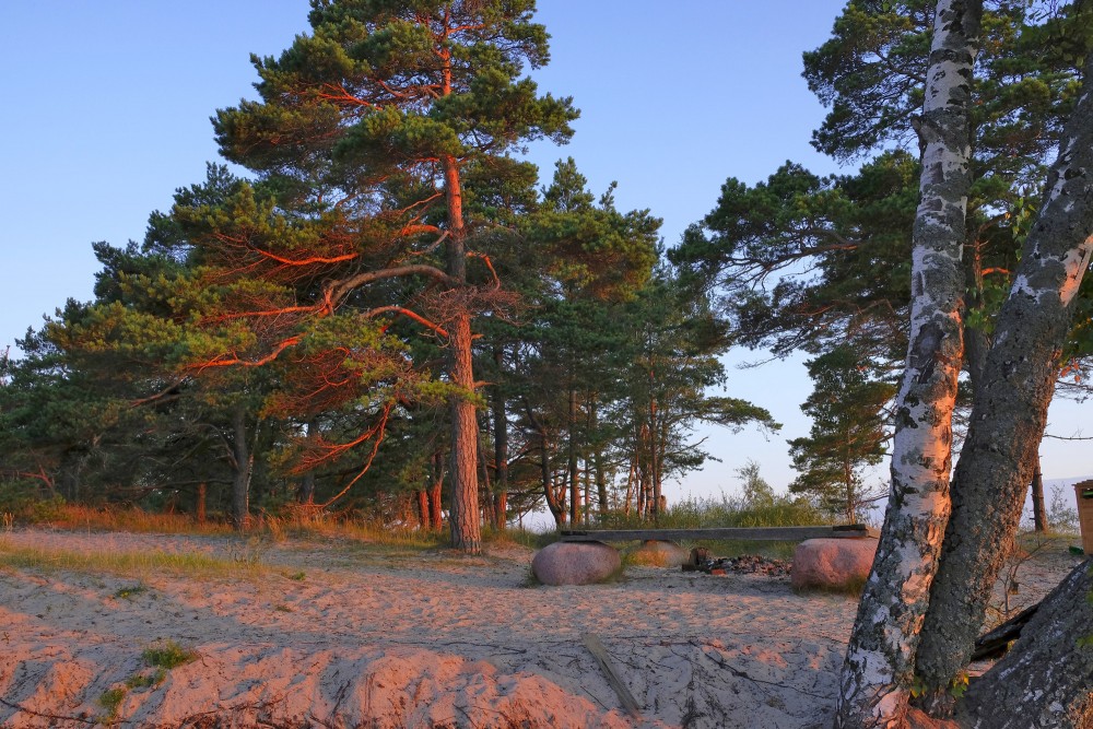 Kolkasrags saullēktā