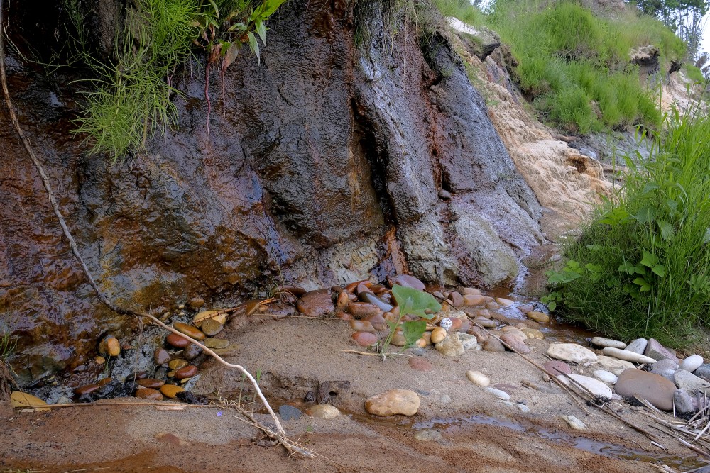 Outcrops of Steep coastline of Staldzene