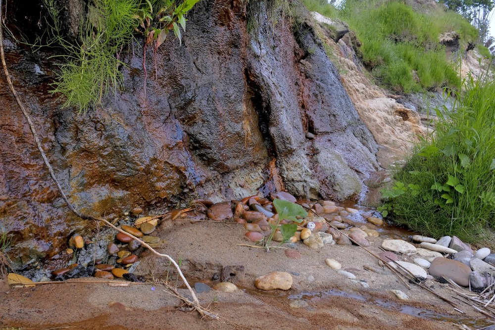 Staldzenes stāvkrasta atsegumi Staldzenes stāvkrasta atsegumi
