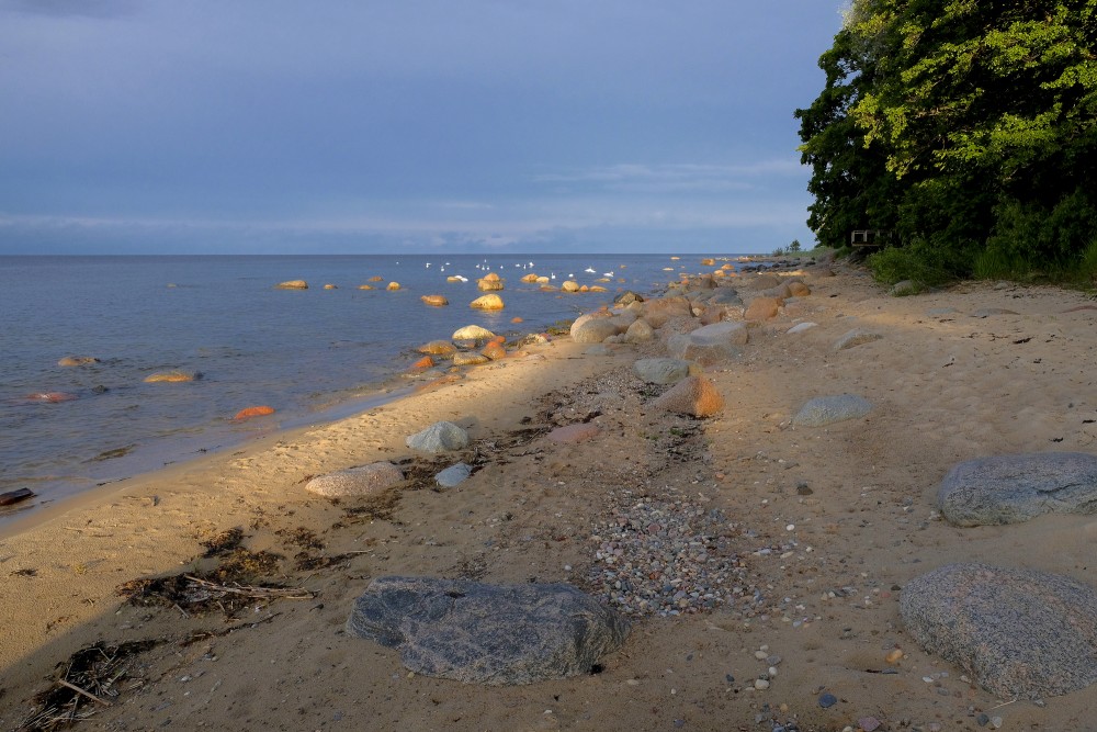 Kaltenes akmeņainā jūrmala