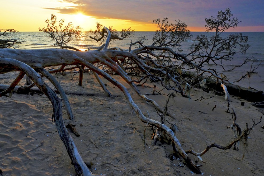 Saullēkts Kolkasragā, vētras nogāzti koki
