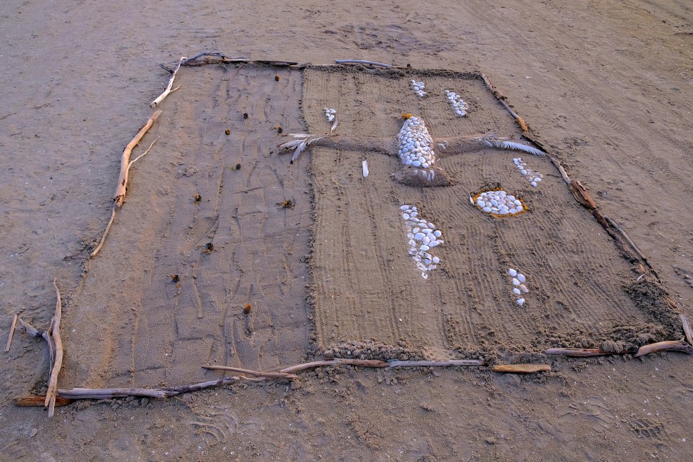 Kaijas tēla improvizācija pludmalē