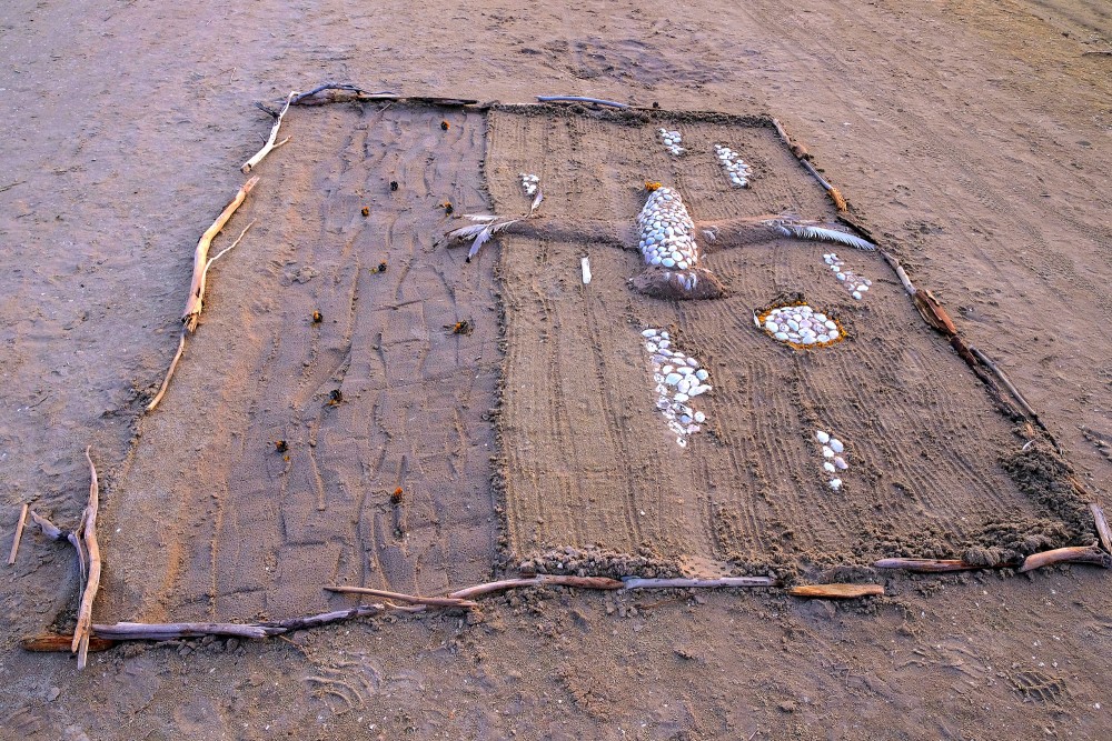 Improvisation of a Seagull Image on the Beach