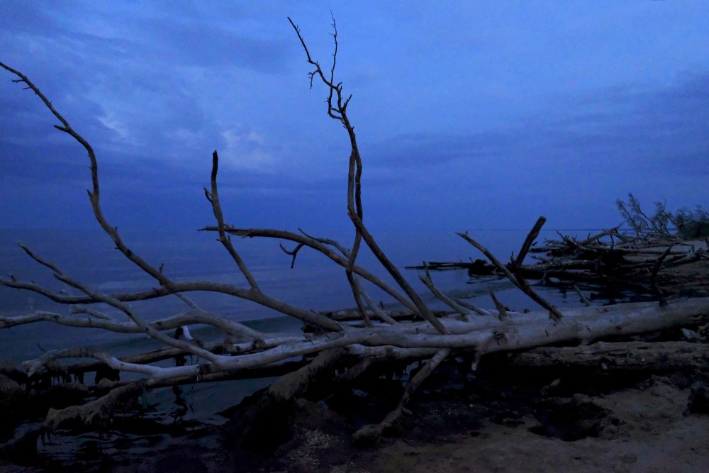 Night in Cape Kolka