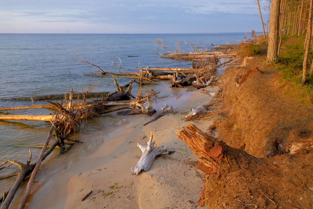 The coast of Cape Kolka in the morning light