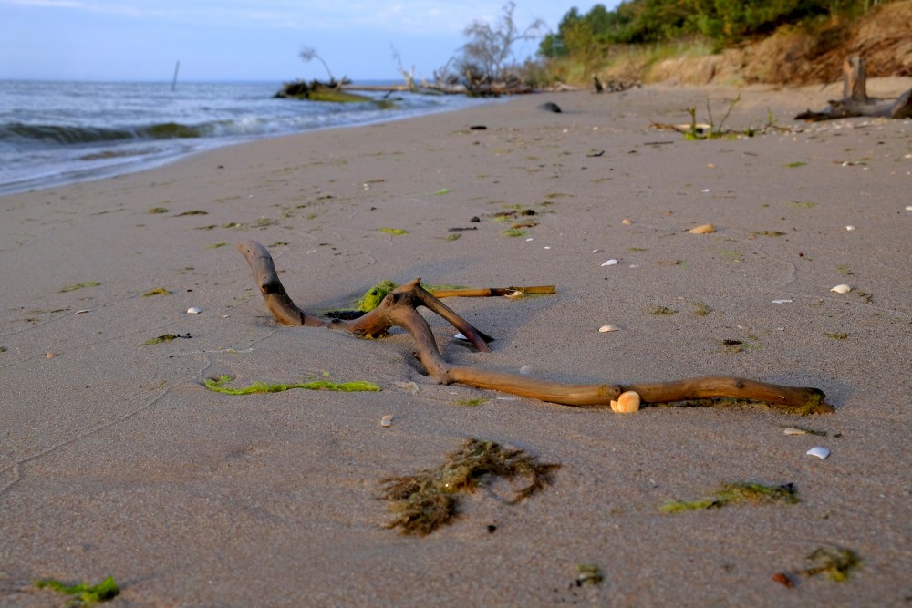 Cape Kolka Beach