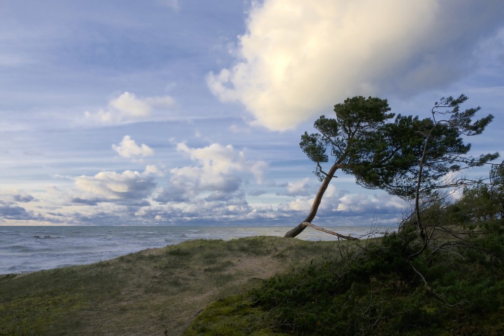 Baltijas jūras piekraste rudenī