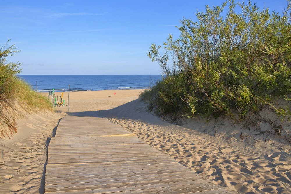 Beach Boardwalk Between Dunes with a View of the Baltic Sea