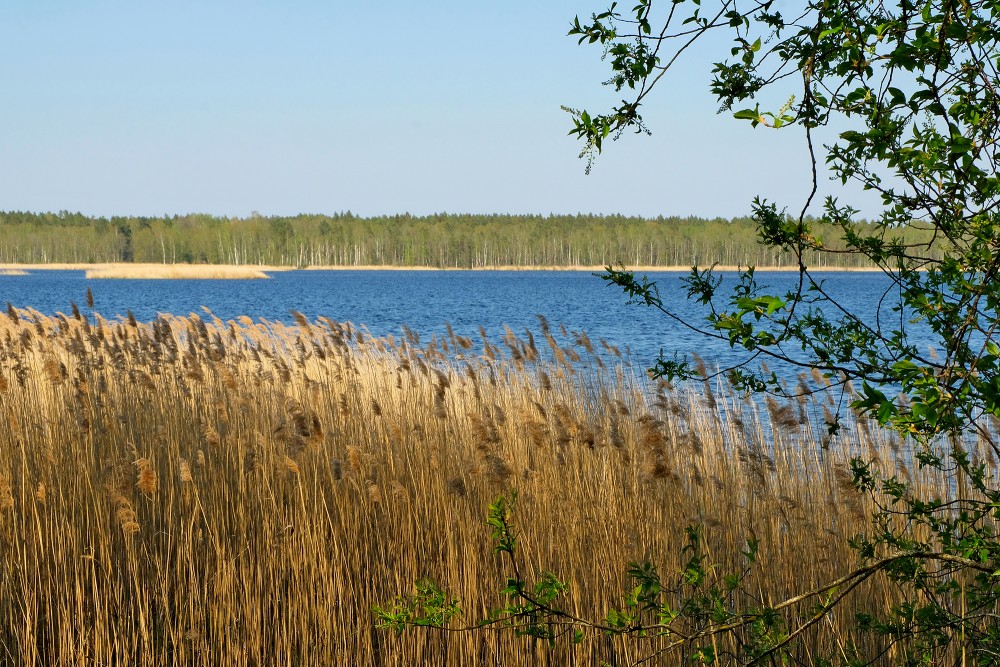 Sloka Lake near Birdwatching Tower