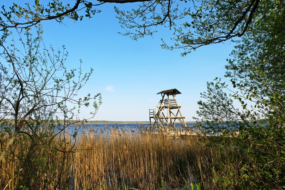Slokas ezera putnu vērošanas tornis