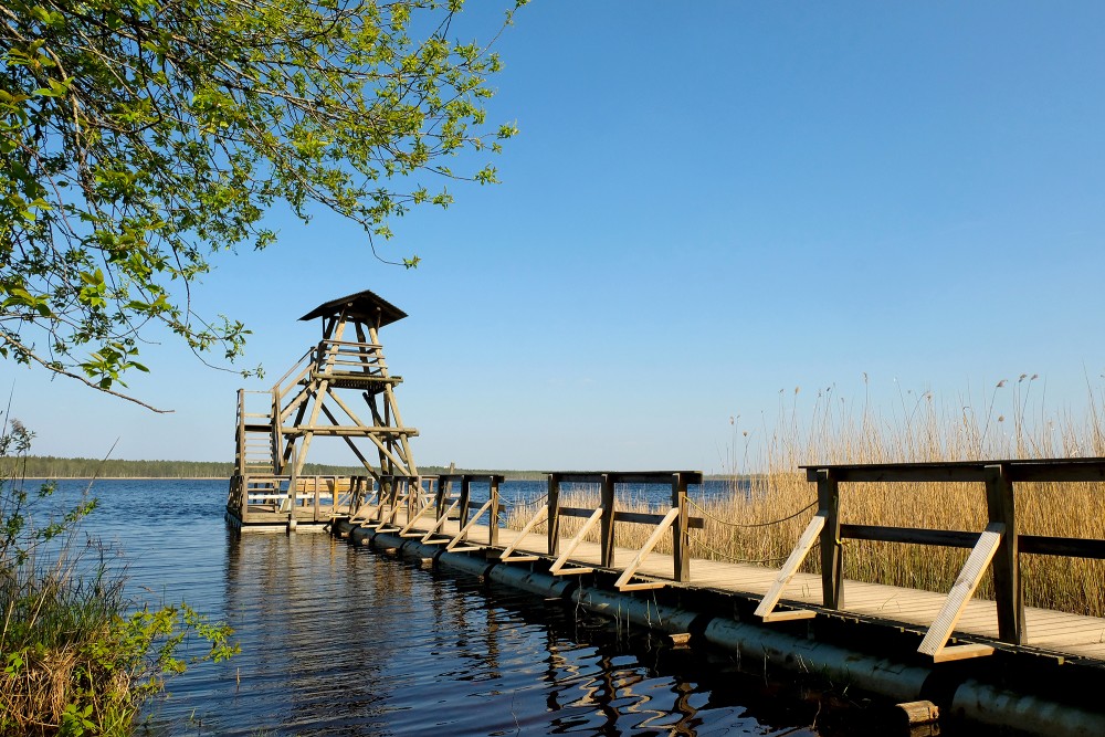Peldošais putnu vērošanas tornis, Slokas ezers