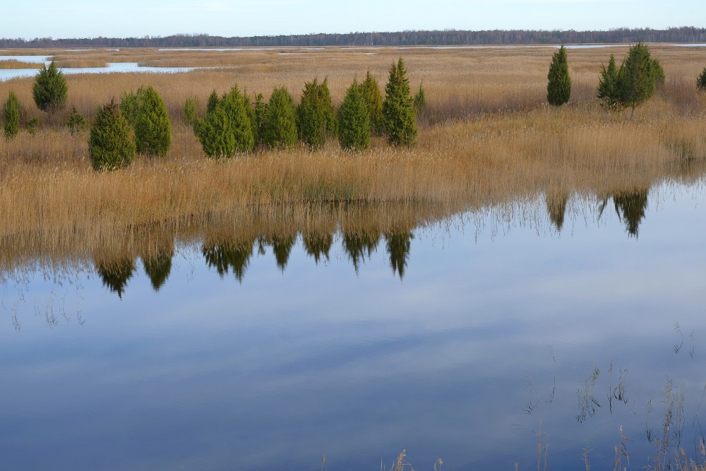 Skats uz Kaņieri no putnu vērošanas torņa Skats uz Kaņieri no putnu vērošanas torņa