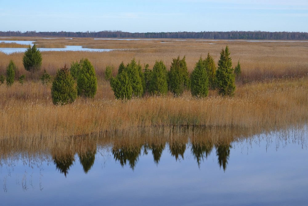 Skats uz Kaņieri no putnu vērošanas torņa