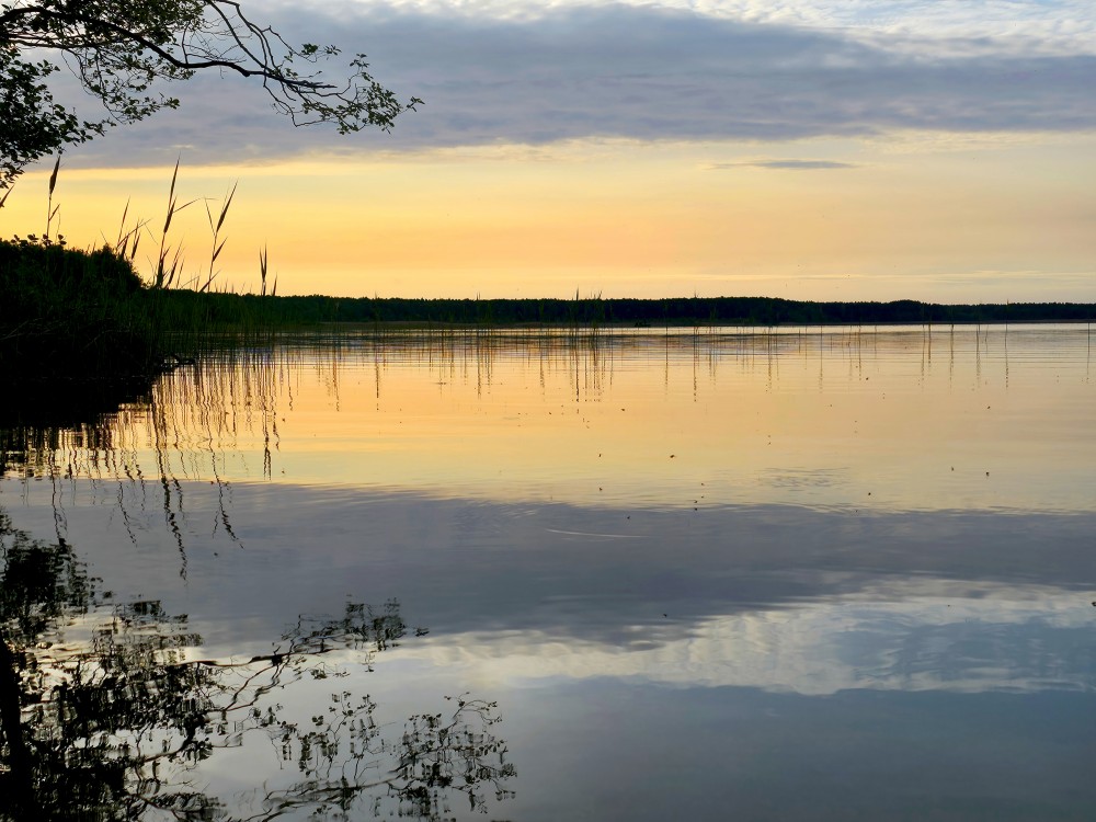 Būšnieku ezera vakara ainava