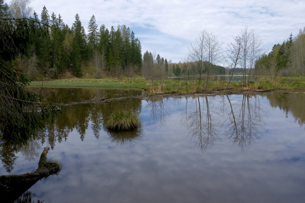 Šķēde Water Mill Lake in Spring