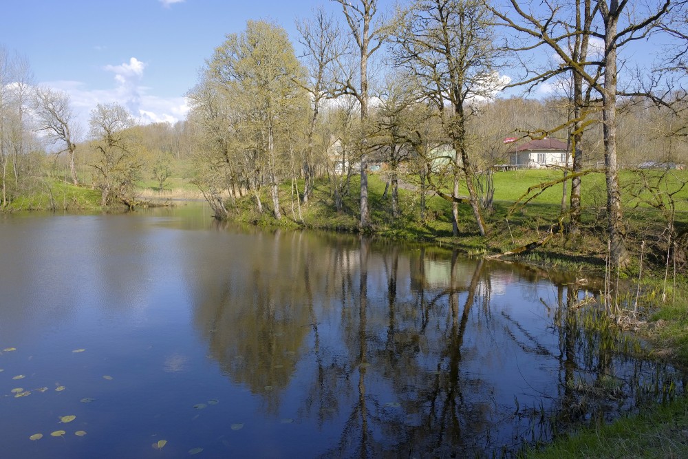 Embūte Castle Pond in Spring