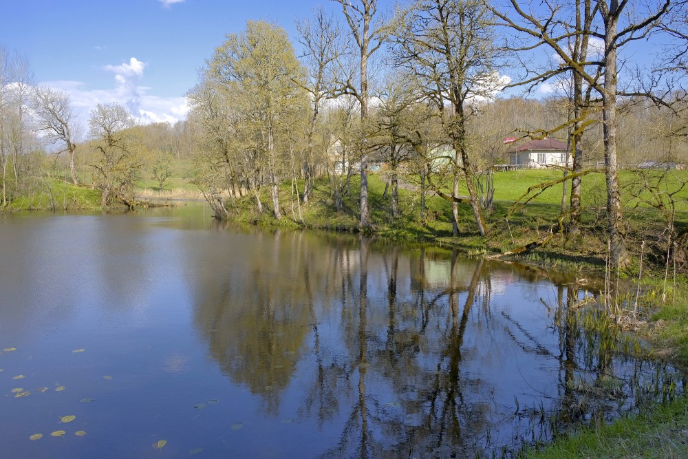 Embūte Castle Pond in Spring