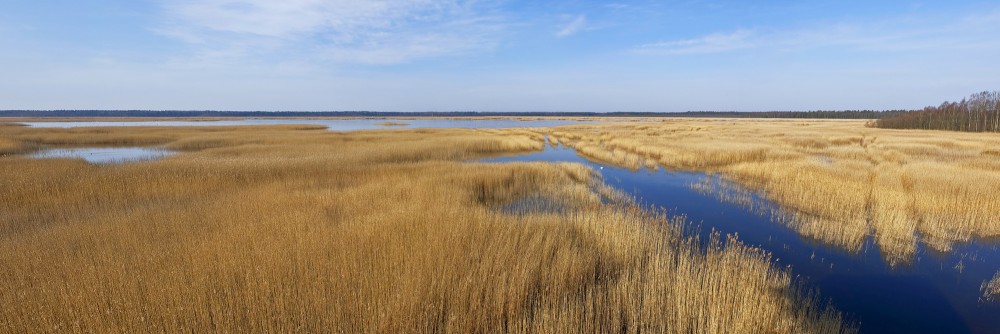 Kaņiera ezera pavasara panorāma