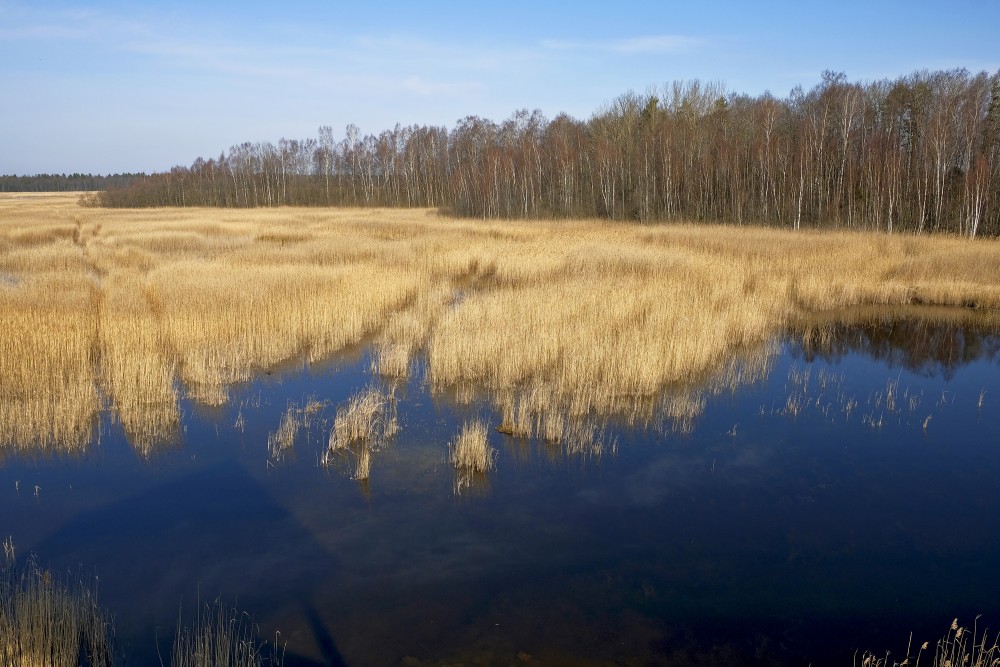 Kaņiera ezera pavasara ainava