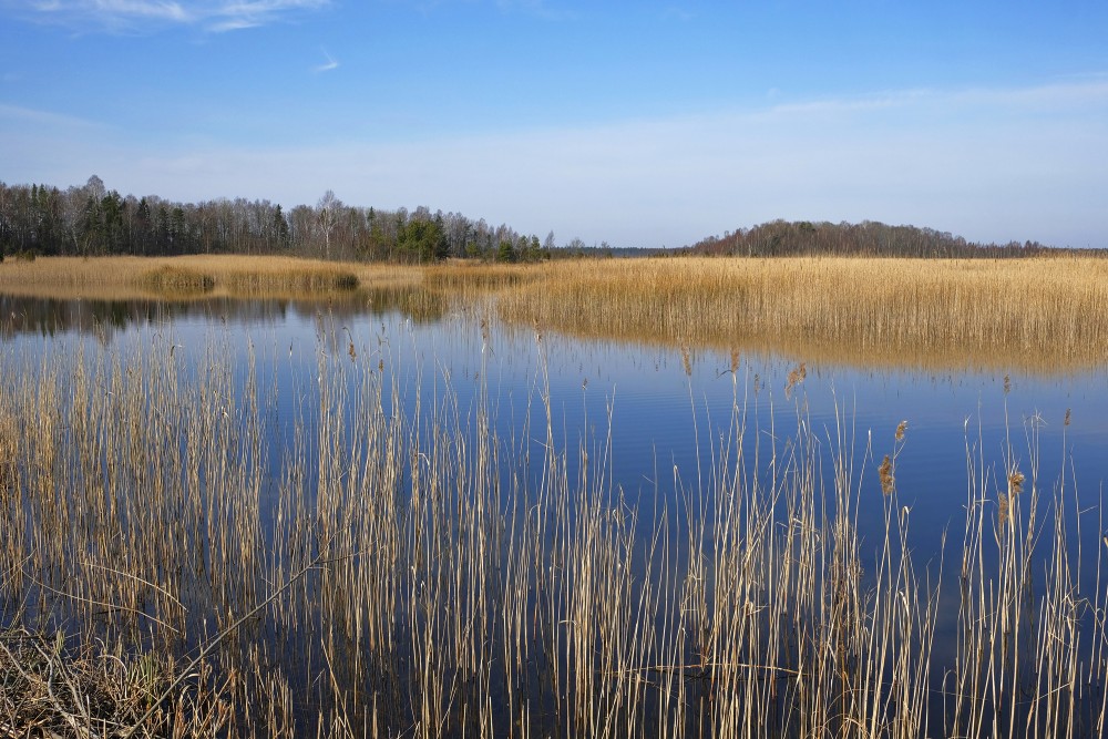 Kaņiera ezera pavasara ainava