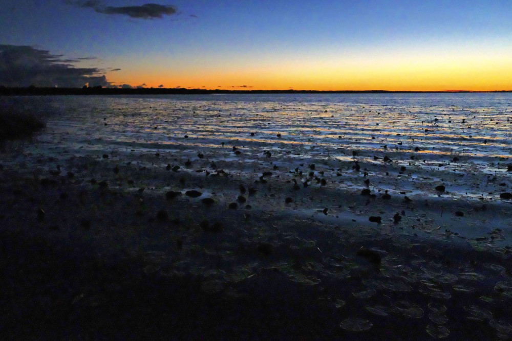 Burtnieka ezers naktī