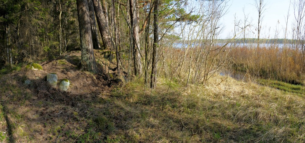 Mežs Klāņezera krastā