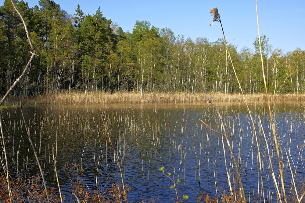Klāņezera pavasara ainava