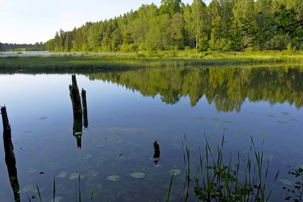 Šķēdes dzirnavezers pie Omiķu grava