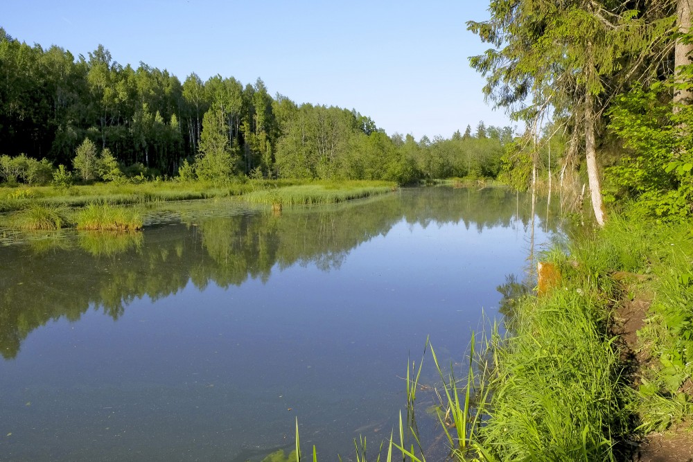 Šķēdes dzirnavezers (Vārmes pagasts)