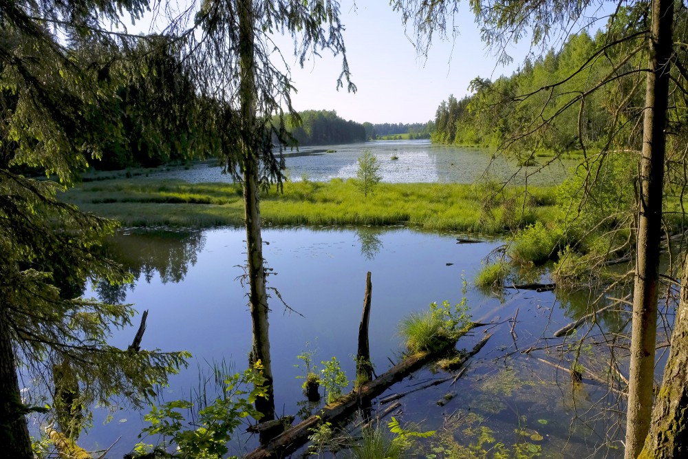 Šķēdes dzirnavezera ainava pie Omiķu gravas