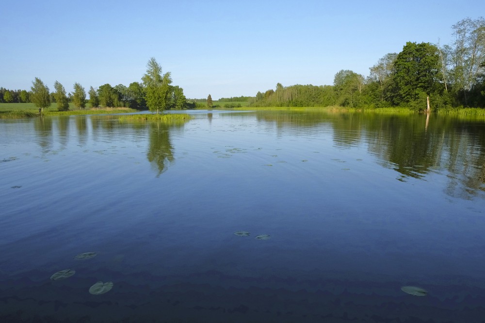 Šķēdes dzirnavezers skatoties no dzirnavām