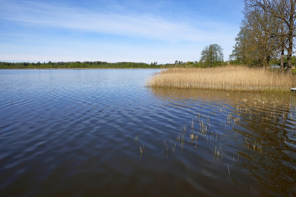 Remte Lake Landscape