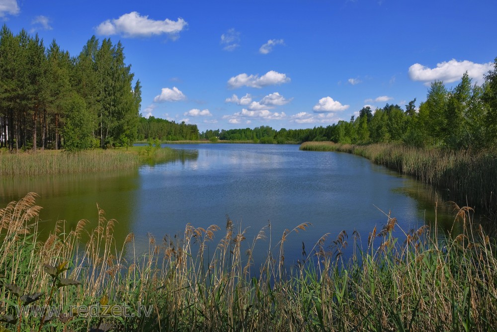 Summer Landscape With Pond