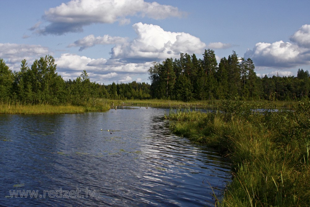 Kleiņa ezers