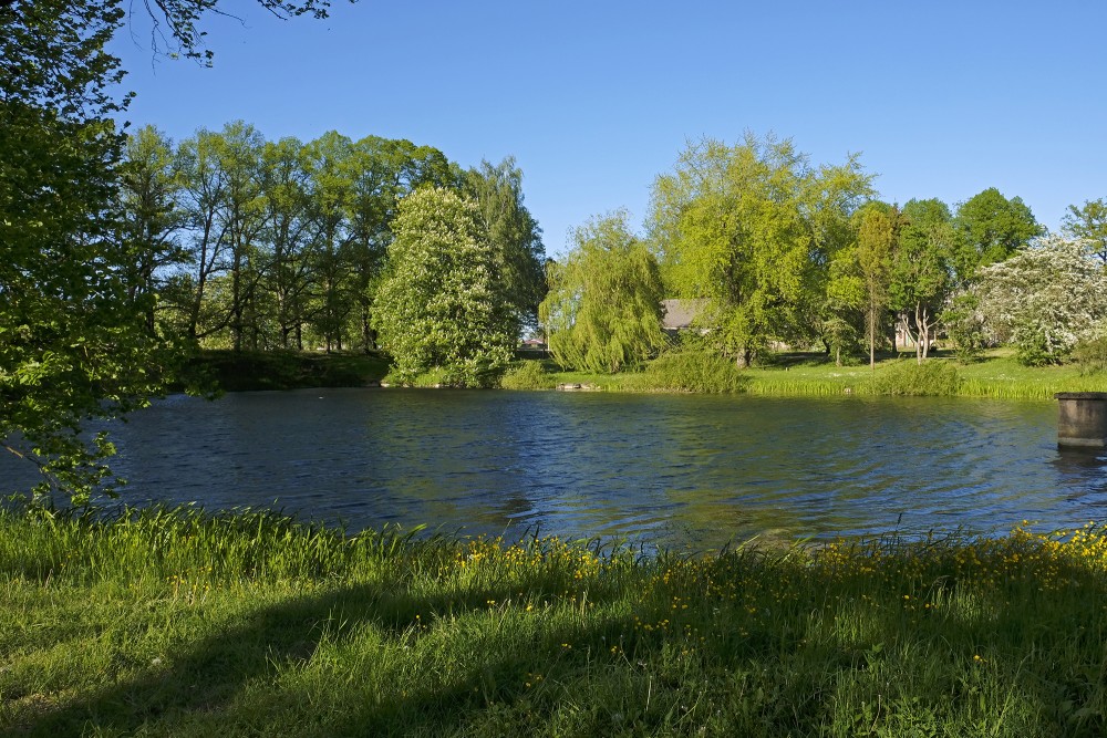 Pond near Vecauce Castle