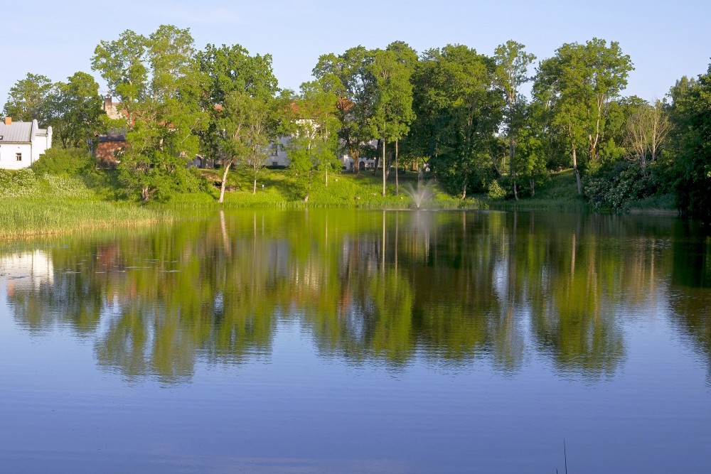 Koku un Dundagas pils atspulgs ūdenī