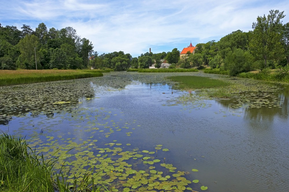 Aizputes dzirnavdīķa ainava Aizputes dzirnavdīķa ainava