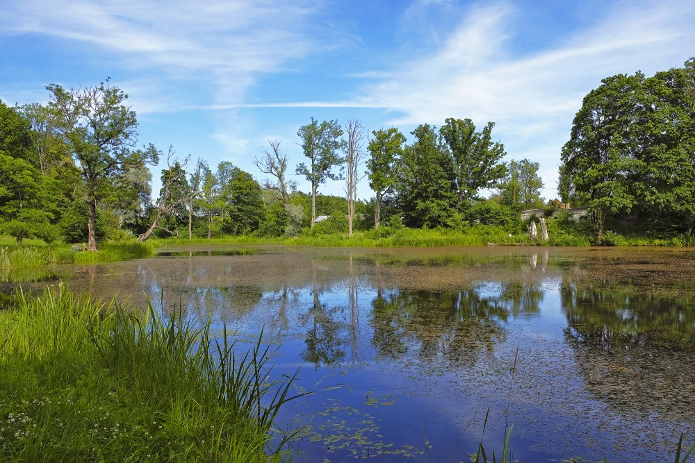 Viens no Kazdangas parka dīķiem Viens no Kazdangas parka dīķiem