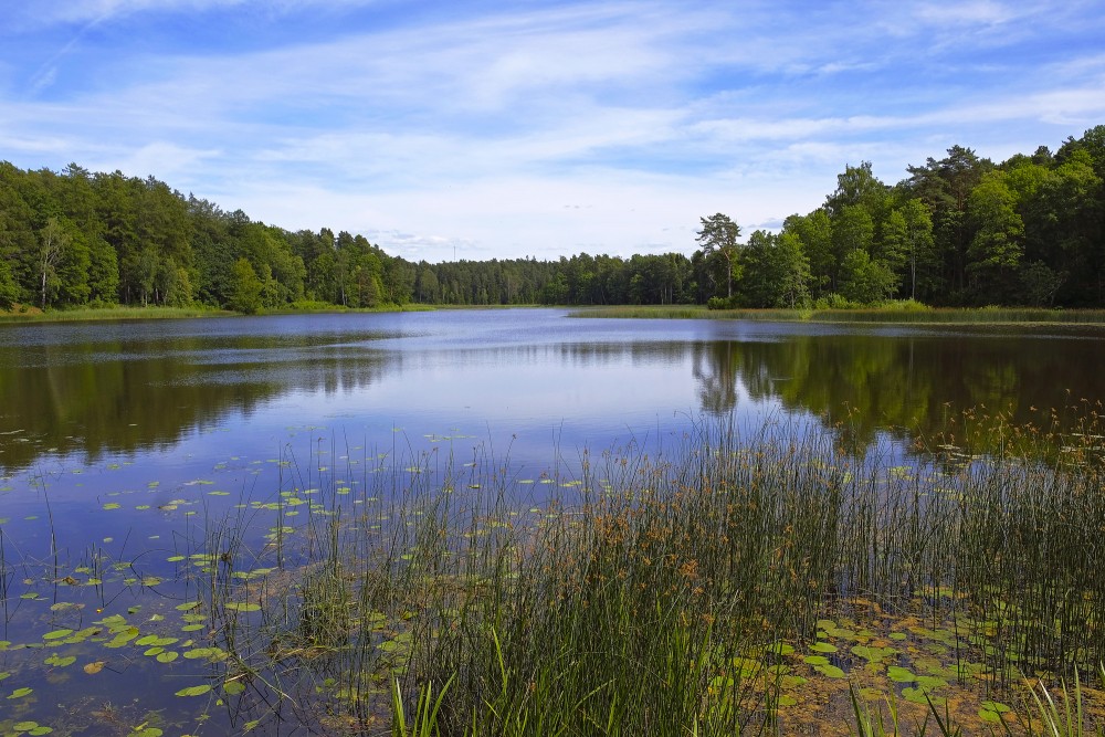 Kazdangas Dzirnezera ainava