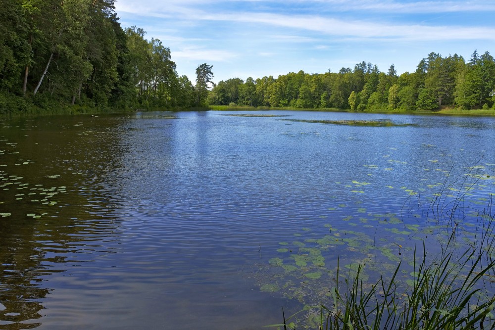 Kazdangas Dzirnezera ainava