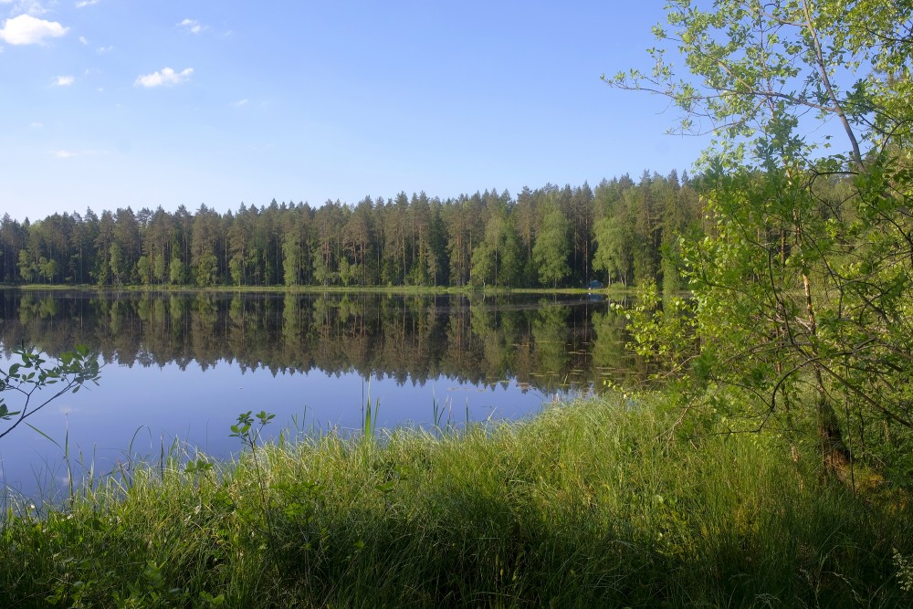 Lejas ezers, koku atspulgs ūdenī