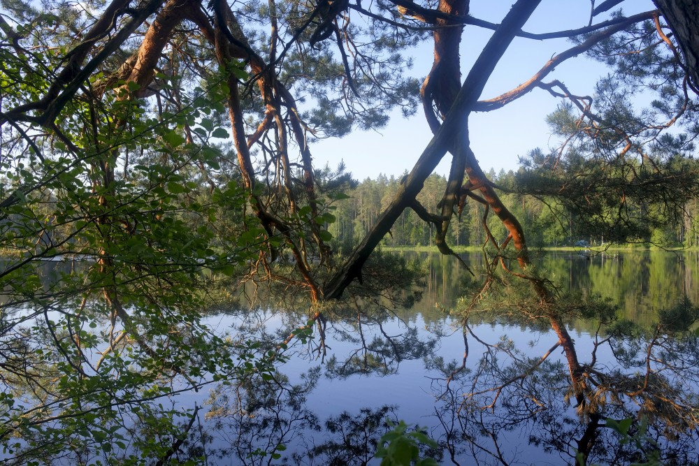 Skats uz Lejas ezeru cauri koku zariem