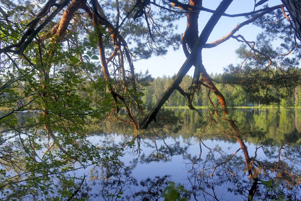 Skats uz Lejas ezeru cauri koku zariem