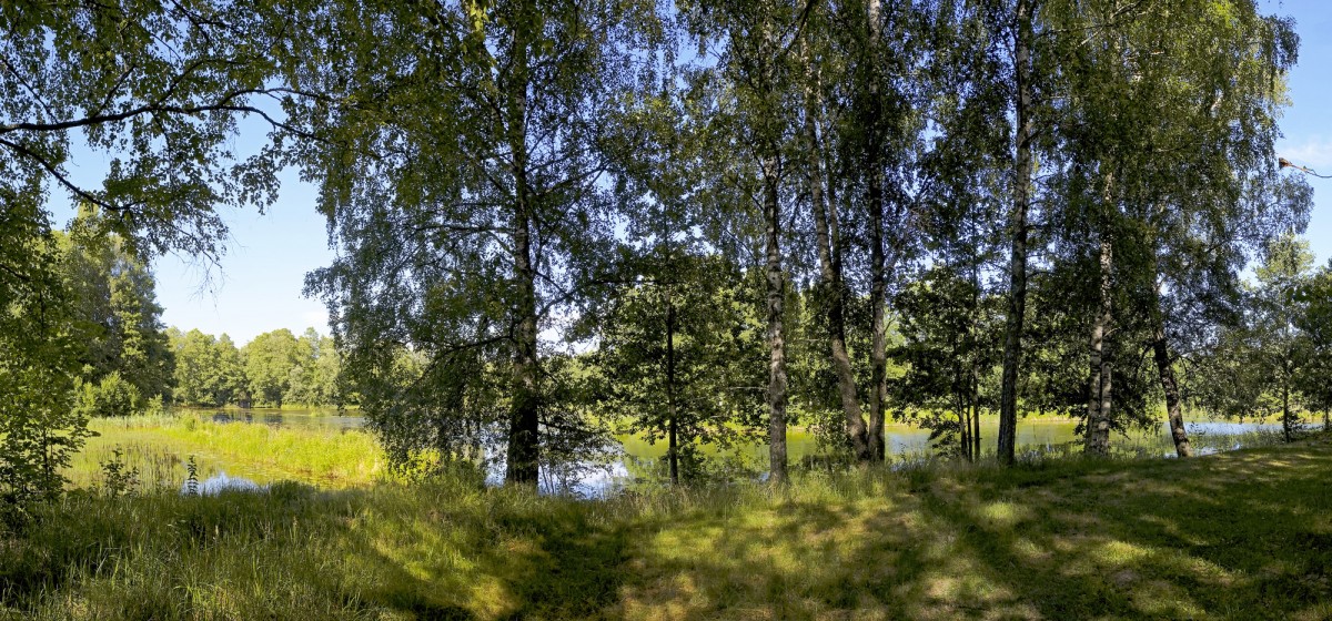 Vendzavas dzirnavezera krasta panorāma Vendzavas dzirnavezera krasta panorāma