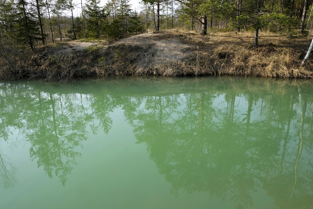 The Reflection Of Trees In The Water Of Lāčkrogs Lake