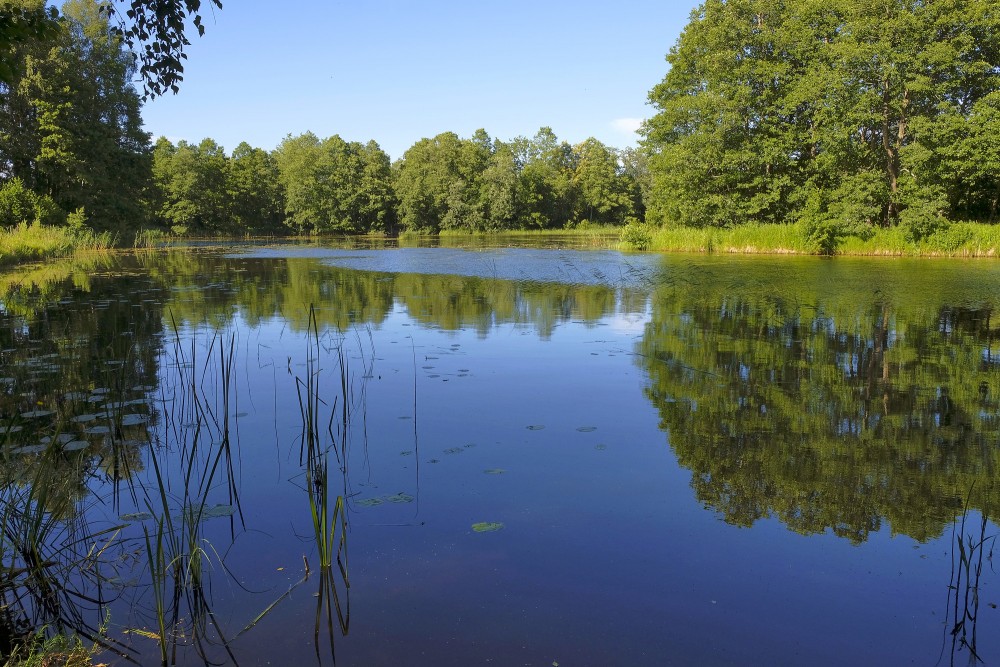 Vendzavu dzirnavu dīķis